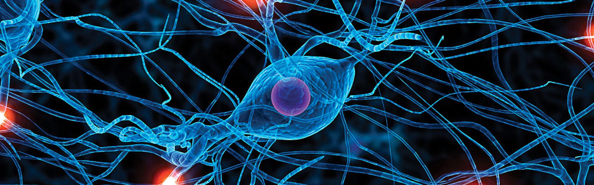 Neuropsychology-Practice